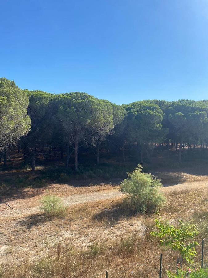 Studio Cabine Mer Et Pinede 26M2: 4Pers, Neuf, Cosy La Grande-Motte Exterior photo